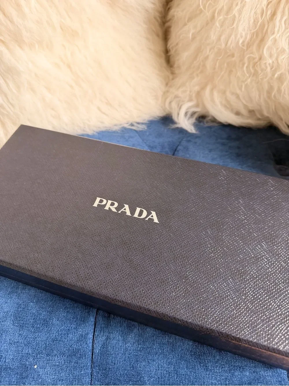Prada Black Nylon leather Logo Gloves for Men — Triangular Badge